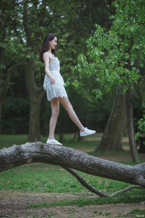 围标串标六种常见手法及其法律风险警示